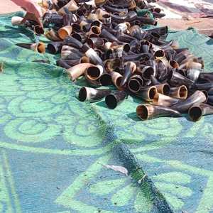 Cuenco para afeitado Artesanías Hogar Taza de búfalo Cuerno Espuma Jabón para afeitar Cuencos Taza para beber Hecho EN LA India - Product Image 6