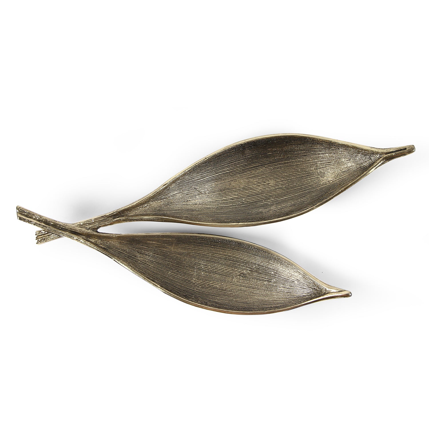 มีทุกสีตามคำขอ