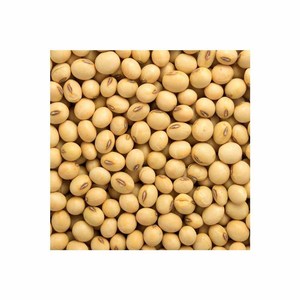 Graines de soja en vrac biologiques de haute qualité soja cru séché sans OGM dans des sacs de bonne qualité - Product Image 1