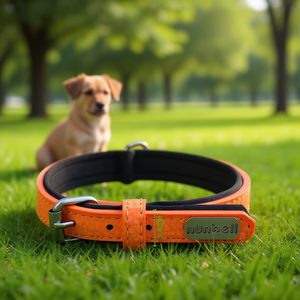 PU Neoprene Padded Dog <b>Collar</b> for <b>Pets</b> - Product Image 3