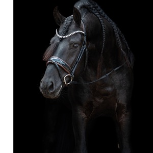 Bride Snaffle - Product Image 2