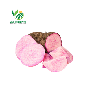 มันเทศแช่แข็งออร์แกนิกมันเทศสีม่วงธรรมชาติ100% หั่นบางๆสดได้รับการรับรองจากโรงเรือนเวียดนาม - Product Image 4