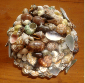 Seshell Ball SEASHELL JEWELRY 18 cm Natural Crafts Shell Ball Crafts Motif Mix <b>Mosaic</b> - Product Image 1