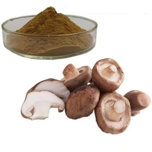 Bestseller Shiitake getrocknetes Pulver Bio-Extrakt Pilz 30% Polysaccharid 40g Farbe Weiß 100% reiner Exporteur in loser Schüttung