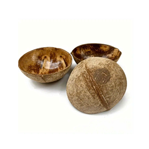 Tazón de Cáscara de Coco de Primera Calidad para Helado, Fruta y Uso en Restaurantes - Product Image 1