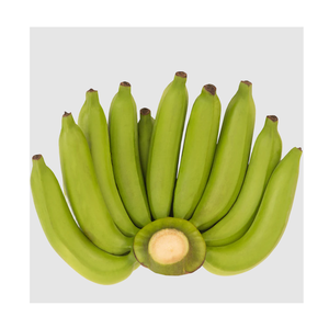 Plátanos Cavendish Plátano tropical verde fresco de alta calidad - Product Image 2