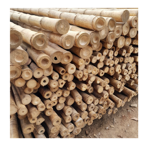 Postes de bambú fuerte tratado para construir toldos al aire libre Postes de bambú de calidad para múltiples propósitos de construcción - Product Image 4