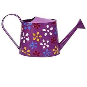 Arrosoir en métal de qualité supérieure de style moderne, finition personnalisée pour la maison et le jardin d'hôtel, usage quotidien - Product Image 2