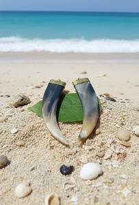 Colliers unisexes de luxe en acier inoxydable avec pendentif en corne naturelle, style hip-hop tribal, faits à la main, forme personnalisable, très vendus - Product Image 3