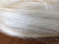 Exporters Premium Sisal Fiber (100% Natural Sisal) - Buy Sisal Fiber, Gypsum Sisal Fiber, Sisal Fiber From Product Cheap Kenya