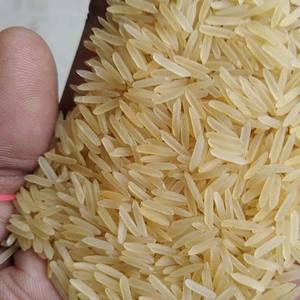Calidad superior 100% Natural Pusa Golden Basmati arroz indio disponible para la venta - Product Image 5