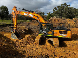 Excavadora Hidráulica CASE de 20 Toneladas y 22 Toneladas, Precio de Fábrica, Máquina de Minería de Construcción Pesada, Precio Económico - Product Image 6