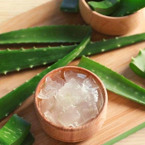 CUBOS DE ALOE VERA CONGELADOS DIRECTOS DE FÁBRICA DE VIETNAM CALIDAD PREMIUM - Product Image 1