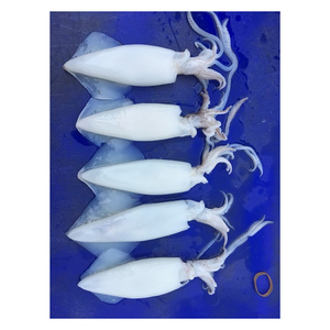 Livraison rapide d'encrevisses entières surgelées, en stock pour l'approvisionnement direct des usines - Product Image 1