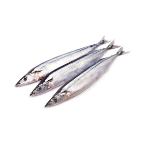 Vente en gros de Pacific Saury surgelés fourniture en gros de fruits de mer surgelés de haute qualité pour les marchés mondiaux - Product Image 2