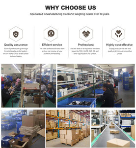 Mini báscula electrónica de cocina de cuchara doble multifunción Digital más vendida con alta precisión 0,1g apagado automático - Product Image 6