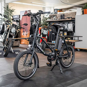 Ventes les plus chaudes Nouveau 2025-2026 E-PACKR 8.0 Vélo cargo électrique Prêt à l'exportation dans le monde entier - Product Image 6