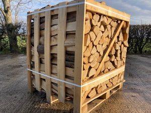 Bois de frêne séché au four, palettisé, prêt pour la livraison - Product Image 2