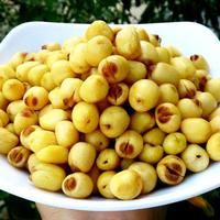 Groothandel Gedroogde Lotuszaden Tegen Betaalbare Prijzen In Vietnam