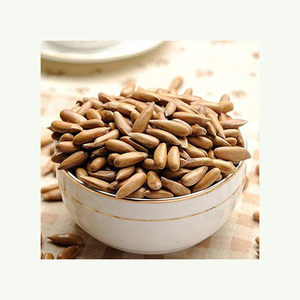 ถั่วไพน์ธรรมชาติบริสุทธิ์เกรด AA 100% - Product Image 6