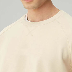 Sweat-shirts à col rond en coton 100% de haute qualité, anti-rétrécissement, anti-froissement, doublés en polaire pour l'hiver, taille plus, sweat-shirts pour hommes - Product Image 6