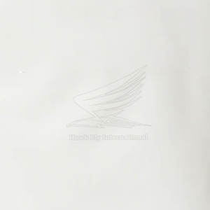 Dernier style 2025, veste bomber pour homme, chaude, sur mesure, logo sur le devant, style streetwear, service OEM, respirante, vente en gros, haute qualité - Product Image 6