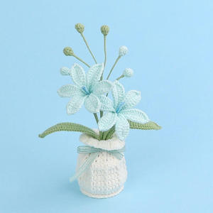 Maceta de Orquídea Marte Tejida a Crochet, Decoración para el Hogar, Uso Interior/Exterior, Decoración para Bodas y Festividades - Product Image 4