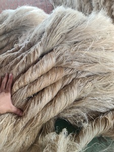 Fibres de lin égyptien - Product Image 2