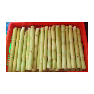 Fabricant de canne à sucre congelée pour l'exportation comme aliment à haute teneur en sucre, canne à sucre exportée du Vietnam pour jus - Product Image 6