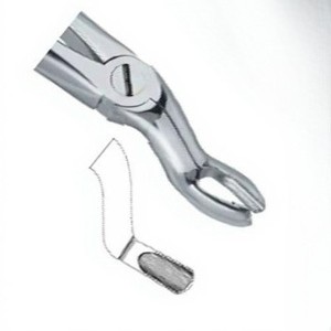 Pinces à extraire les dents dentaires Fig57 A Top Meilleure qualité Produits avec logo personnalisé Instruments dentaires en acier inoxydable de haute qualité - Product Image 4