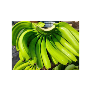 Vietnam fruits frais cavendish banane à vendre 100% naturel biologique-Exportateur direct - Product Image 1