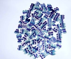 Haute qualité prix de gros Fluorite paire pierres précieuses en vrac haute qualité Fluorite paire Cabochon pour la fabrication de bijoux - Product Image 5