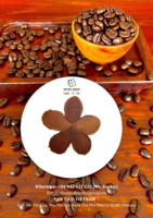 Semprotan murni Harga Murah pabrik langsung krim buah bubuk kopi Cappuccino instan kering bersekat Premium 20kg/karton