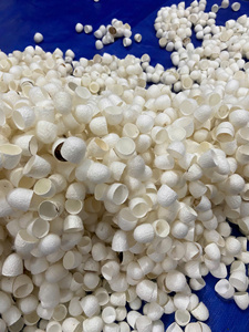 Cocon de soie du Vietnam, matériau naturel propre, qualité soin de la peau, achat en gros - Product Image 5