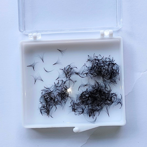 Extensions de cils individuels préfabriquées 5D meilleur choix pour le maquillage quotidien fait à la main OEM marque professionnelle facile à appliquer 15mm synthétique - Product Image 1