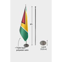 Drapeau officiel de la Guyane personnalisable 3x5 pieds, impression numérique, nylon, aluminium, polyester, vinyle, soie, utilisation automobile personnalisée