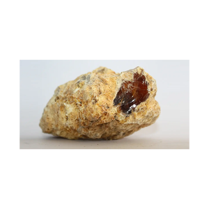 High Quality White Ambergris Animal <b>Extract</b> Capsules for Bulk Sale with Direct Shipment to Cosmetic Buyers - Product Image 5