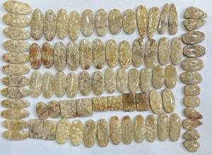 Paire de cabochons de corail fossile naturel faits à la main pierres précieuses en cristal poli personnalisé mélange de haute qualité fabrication de bijoux en vrac - Product Image 3