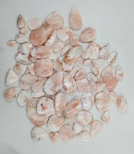 Cabochon de scolecite naturel de haute qualité pierre précieuse taillée ovale pour la fabrication de bijoux Unique incroyable pierre de scolecite Cabochon en vrac - Product Image 2