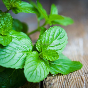 Organic Peppermint Hydrosol Moisturizing Skincare Facial Care 100% Natural Plant Extract pure mint hydrosol Wholesale - Product Image 4