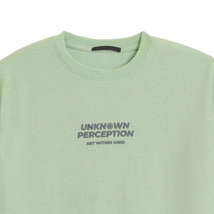 Camiseta Corta Personalizada de Algodón 100% de 300 GSM, Tejido de Punto, Estampado Puff, Hombros Caídos, Oversize, Secado Rápido y Antiarrugas para Hombre - Product Image 3