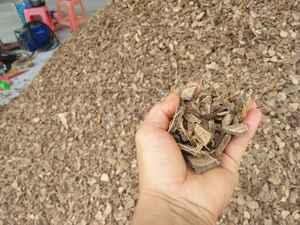 กะลามะพร้าวขายดีจากฟาร์มบลูโลตัส เวียดนาม ส่งออกจำนวนมาก ปี 2023 - Product Image 3