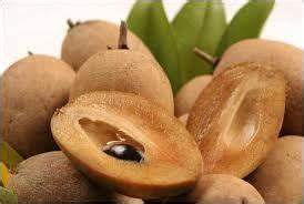 TODA LA ETIQUETA LIMPIA NATURAL FRUTA A BASE DE PLANTAS DE SAPODILLA MADURA CONGELADA PARA UNA DIETA DE REFUERZO INMUNE SALUDABLE - Product Image 3