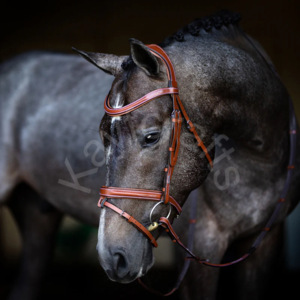 Brida anatómica convertible para caballos, estilo Milan con costuras elegantes, tocado acolchado con gel, Cavesson Hanoverian Noseband - Product Image 3