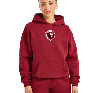 Femmes décontracté surdimensionné pull à capuche hiver chaud poids lourd personnalisé sweats avant Streetwear confortable imprimé - Product Image 1