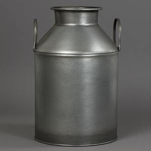 Bidons à lait galvanisés de ferme vintage, poignées solides, maison rustique, cuisine, jardin extérieur, décoration, bidon d'eau - Product Image 1