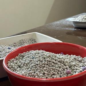 Litière pour chat bentonite écologique d'Inde | Absorption élevée, agglomération rapide et solution de nettoyage à faible teneur en poussière - Product Image 3