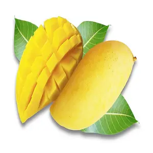 منتج تايلاندي عالي الجودة وفواكه طازجة ، حلوى مانجو نام Dok Mai مانجو على الطراز الأصفر بالكامل