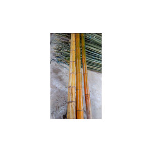 Tube de poteaux en bambou naturel pour l'aménagement paysager et le jardin Caractéristiques Tube de poteau en bambou droit et uniforme exportateur 99gd - Product Image 1