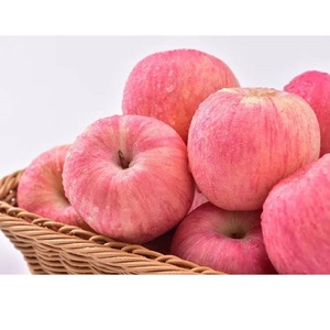 Fournisseur en gros de fruits surgelés de qualité supérieure IQF, pommes surgelées de qualité alimentaire, prix d'usine - Product Image 4